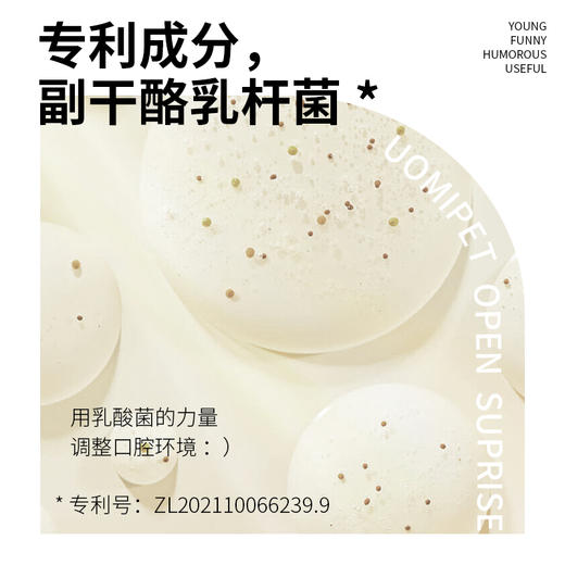 【特惠价】UOMIPET宠物猫咪狗狗牙刷牙膏套装 商品图2