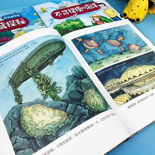 (仓发) 给孩子的万物启蒙书：海洋生物大揭秘(中国环境标志产品 绿色印刷)/甘肃科学技术出版社/蓝灯童画/9787542428240 商品图5