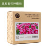 KZ1014 五彩石竹种子包 商品缩略图0