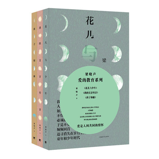 梁晓声爱的教育系列（全三册）中国青年出版社 商品图3