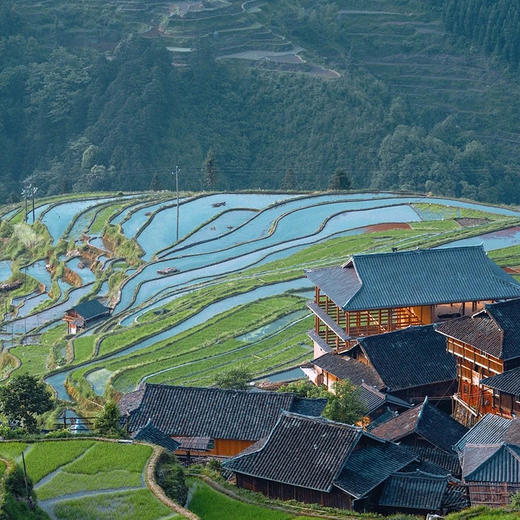 【逍遥贵州·原生解密·4人小团】5天4晚 · 贵阳起止 天天发团（当地导游·深度游玩黄果树瀑布+荔波大小七孔+岜沙苗寨+肇兴侗寨+堂安侗寨梯田） 商品图5