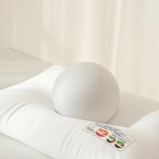 【粒子两分区枕】EPS泡沫粒子枕芯两分区粒子枕头自由塑性可水洗 商品图7