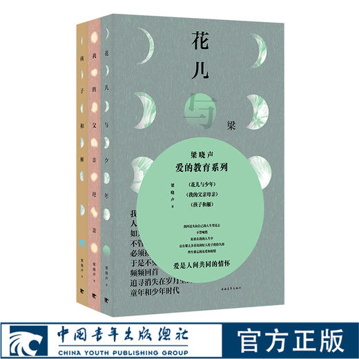 梁晓声爱的教育系列（全三册）中国青年出版社 商品图2
