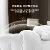 康尔馨 希尔顿酒店联名款赫尔曼蓄热冬被芯 碳纳米自热蓄热，暖你一整晚 商品缩略图2