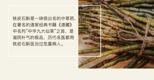 特制·值咳闰肺润肤降火纯露 500ml 商品图3