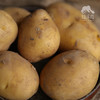 生态羊粪土豆 | 合作生产* Eco- potato | Coproduction 商品缩略图6