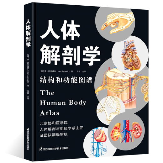 《人体解剖学：结构和功能图谱》人体科普百科入门 商品图1