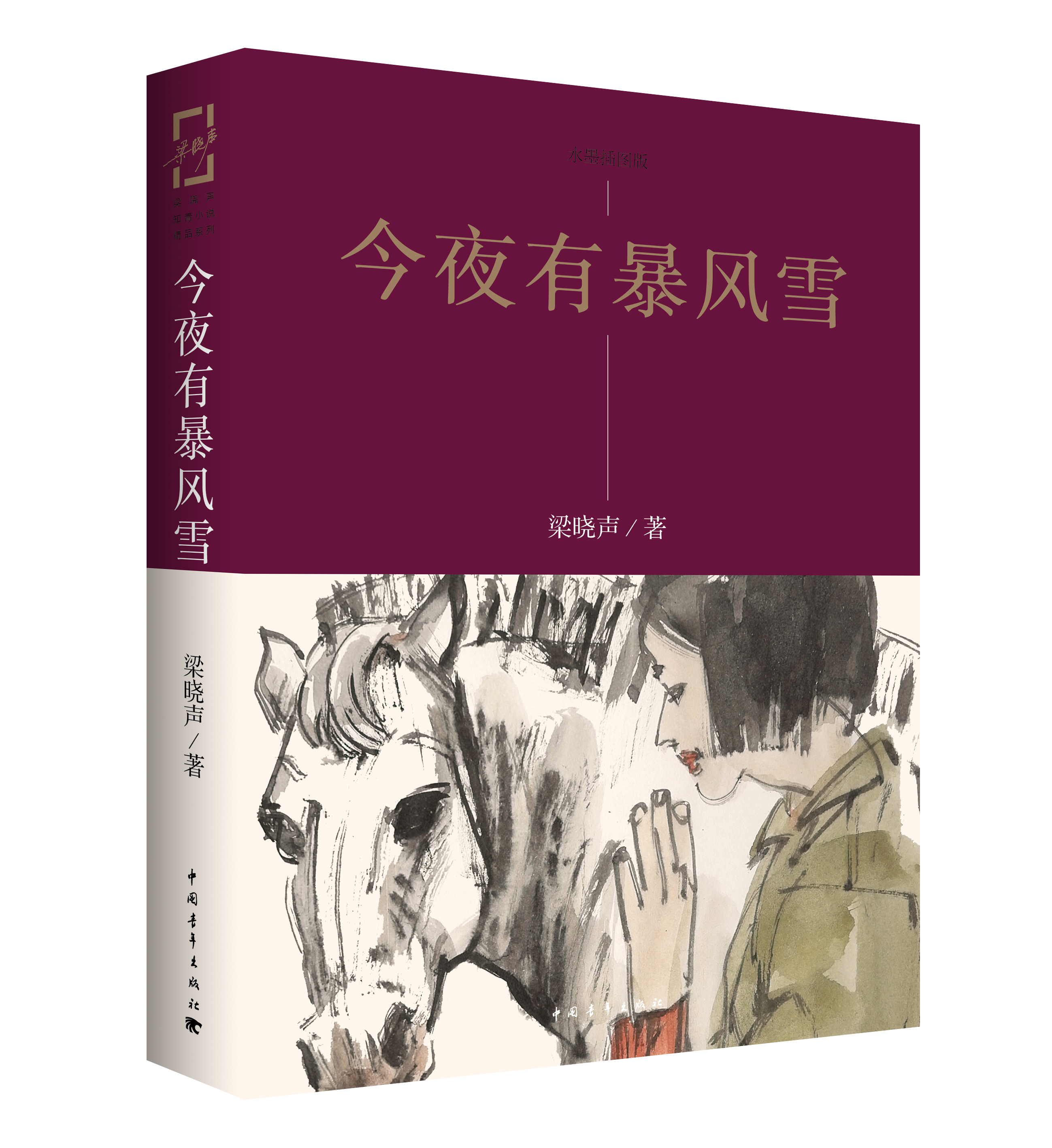 今夜有暴风雪 梁晓声知青小说代表作品中短篇集 中国青年出版社