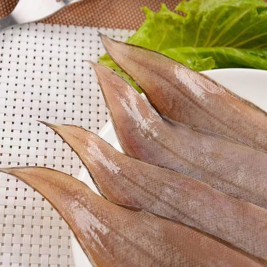 冷冻真龙利鱼青岛海鲜舌头鱼踏板鱼3斤（2/3条斤） 商品图2