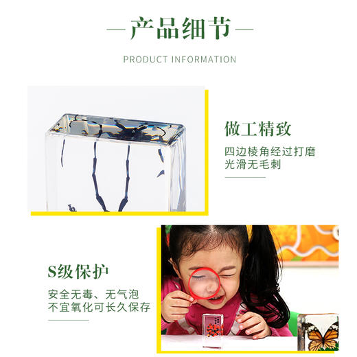 千千谷昆虫 2800261       【新】昆虫组合10个装(1101) 商品图2