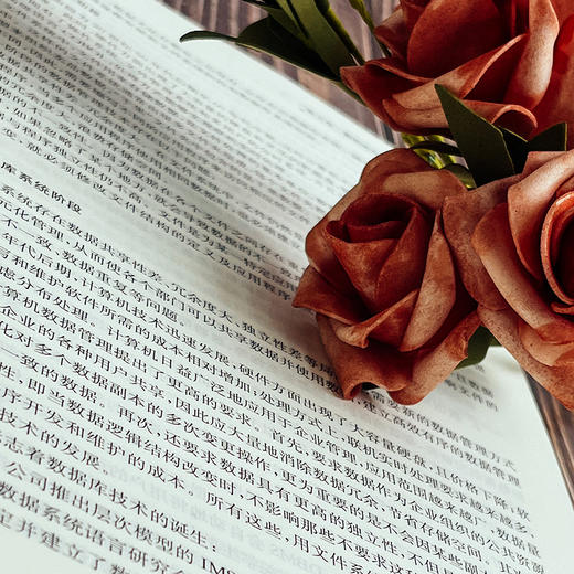 数据分析与可视化实践 第三版 大学计算机系列教材 i教育 融合创新一体化教材 正版 华东师范大学出版社 商品图9