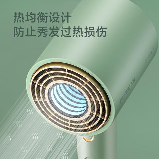 飞科（FLYCO） 恒温吹风机LED智能显示 FH6310  ZJ 商品图2