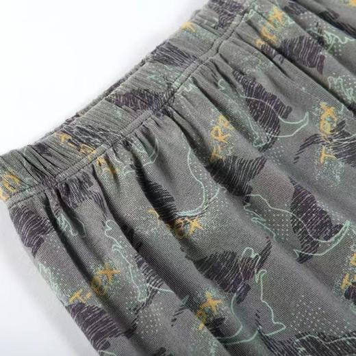 【萌宠恐龙莫代尔】SCHIESSER  舒雅儿童睡衣 2022春夏新品男童莫代尔短袖7分裤卡通家居服3B/19552H 商品图4