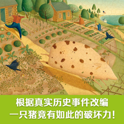 【全2册】一只猪引发的战争+我可以……(聪明豆绘本.大奖章系列11) 商品图3