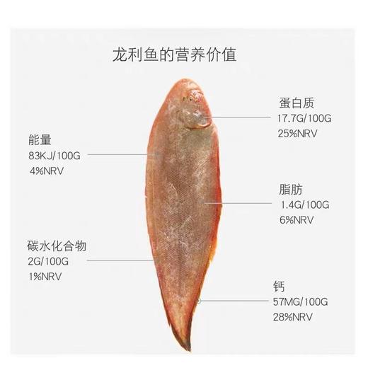 冷冻真龙利鱼青岛海鲜舌头鱼踏板鱼3斤（2/3条斤） 商品图4