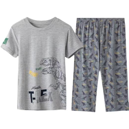 【萌宠恐龙莫代尔】SCHIESSER  舒雅儿童睡衣 2022春夏新品男童莫代尔短袖7分裤卡通家居服3B/19552H 商品图3