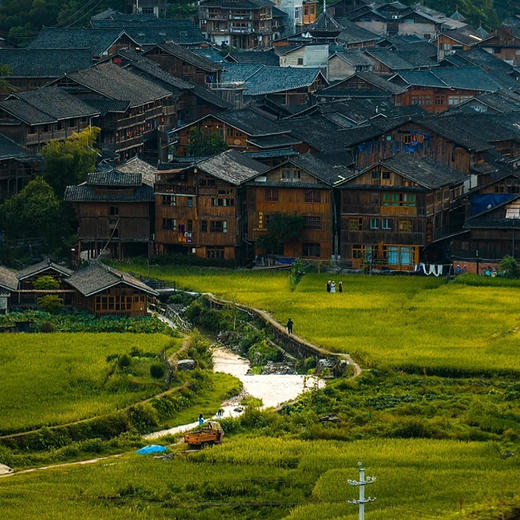 【逍遥贵州·原生解密·4人小团】5天4晚 · 贵阳起止 天天发团（当地导游·深度游玩黄果树瀑布+荔波大小七孔+岜沙苗寨+肇兴侗寨+堂安侗寨梯田） 商品图6