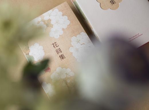 【遇见中国诗词之美】《东坡集&花间集》| 一套治愈文集+情话大全，让你在低迷境遇里，活出人生的高境界。 商品图5