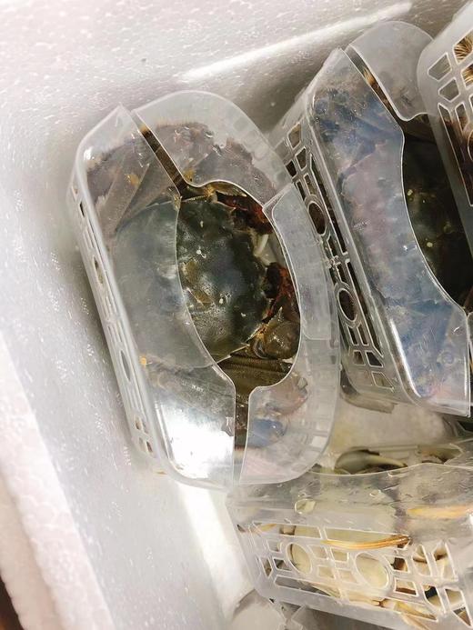 大闸蟹礼盒（拼团） 商品图1