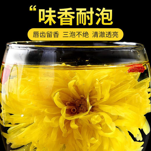 华简 大分量100朵金丝皇菊大朵菊花茶花草茶茶叶独立包装一杯一朵约40g 商品图1