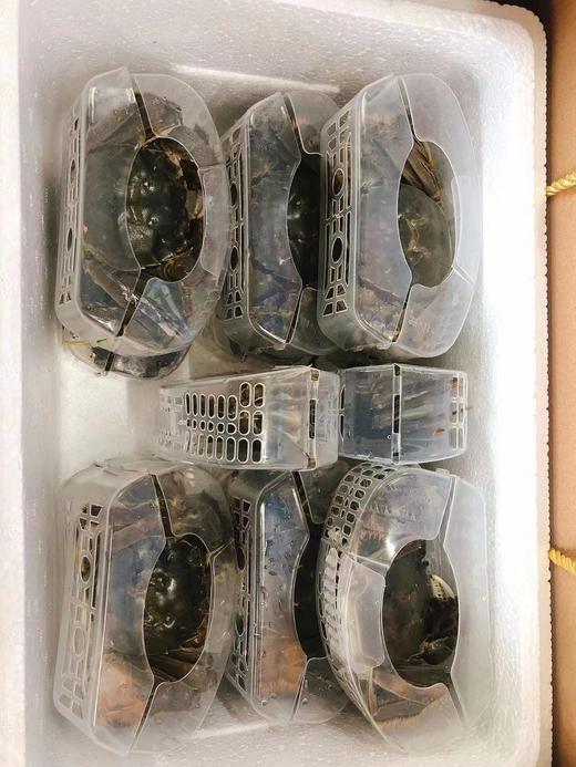 大闸蟹礼盒（拼团） 商品图2