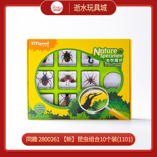 千千谷昆虫 2800261       【新】昆虫组合10个装(1101) 商品图0
