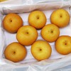 冰糖秋月梨礼盒装，6颗/8颗，梨王/特级果，顶级品质。京东快递全国包邮。 商品缩略图2
