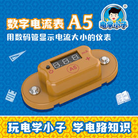 A5数字电流表