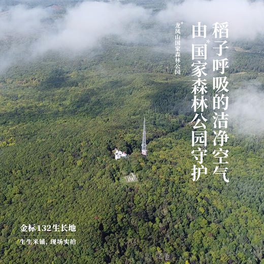 生生米铺 正源稻花香五常大米 金标132单一品种 2.5kg*2[福利品] 商品图2