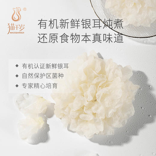 马来西亚进口燕窝含量大于100mg的燕窝银耳鲜露 商品图3