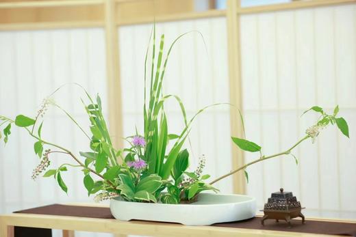 茶花香雅集 商品图4