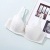 安莉芳蕾丝性感小胸聚拢文胸女士下厚上薄款收副乳内衣EB00516/EBQ0516 商品缩略图3