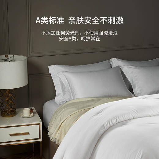 康尔馨 希尔顿酒店联名款赫尔曼蓄热冬被芯 碳纳米自热蓄热，暖你一整晚 商品图3