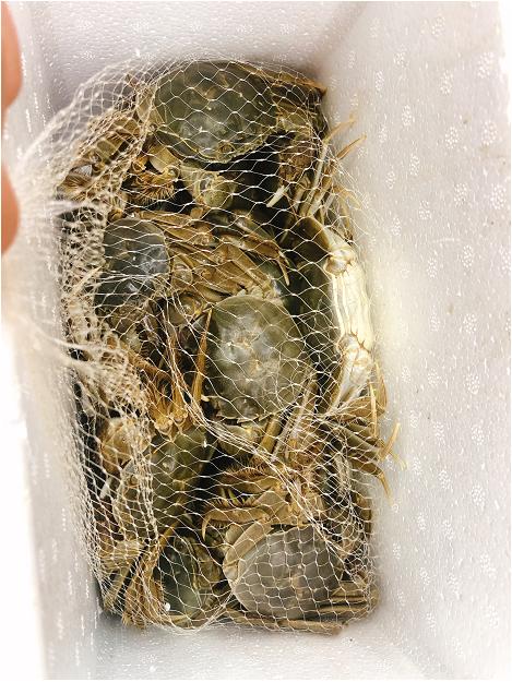 网兜河蟹礼盒（拼团） 商品图3