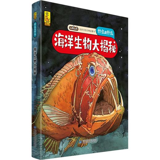 (仓发) 给孩子的万物启蒙书：海洋生物大揭秘(中国环境标志产品 绿色印刷)/甘肃科学技术出版社/蓝灯童画/9787542428240 商品图0