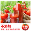 统一番茄汁335ml/罐 商品缩略图3