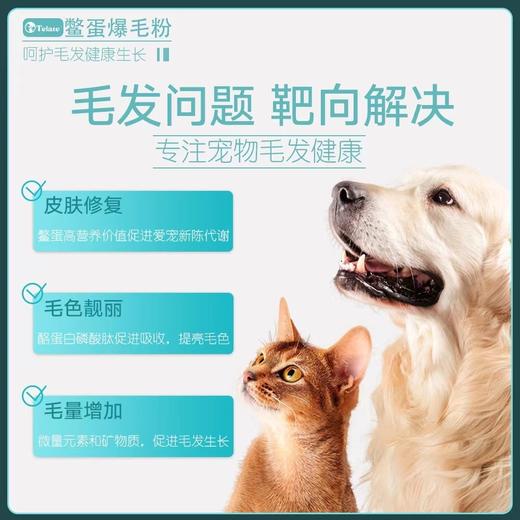 鳖蛋爆毛美毛粉telate100g/200g犬猫通用 商品图4