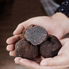 餐桌上的“黑钻石”—云南黑松露  菌香四溢   踏冬而来   趁此黑松露时令季节    品尝这来自云南的黑色奢享！ 商品缩略图1