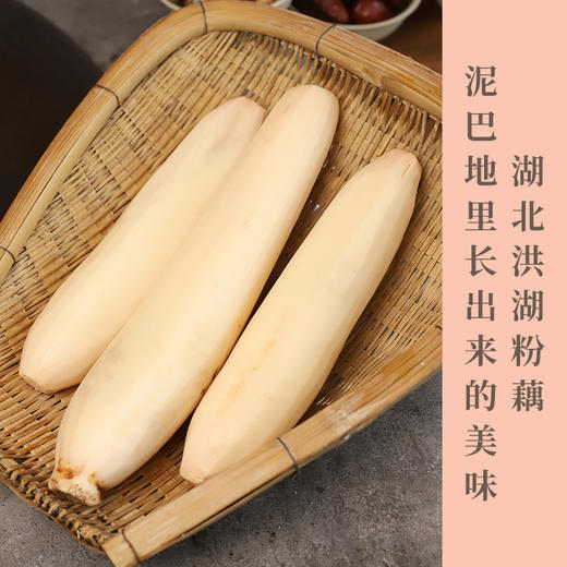 洪湖粉藕  煲汤粉藕 现挖现发 带泥发货 人工采挖   粉糯香甜  无污染种植 商品图1