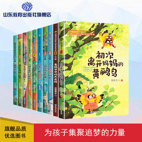 中国当代获奖儿童文学作家书系 第二辑