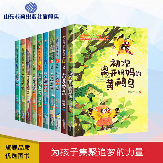 中国当代获奖儿童文学作家书系 第二辑 商品图0