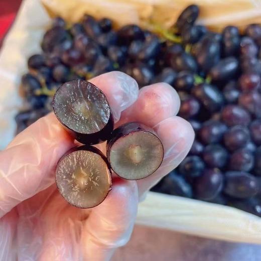 新疆无核籽黑加仑一箱（补单） 商品图2