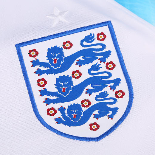NIKE/耐克 ENT M NK DF STAD JSY SS HM 2022世界杯 英格兰主场球衣 球迷版DN0687100 商品图3