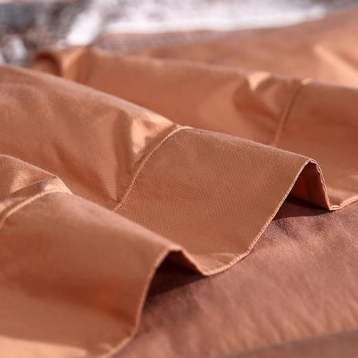 新品上市|玛雅魅影可水洗95%鹅绒春秋被赠一对枕套+床单 商品图2