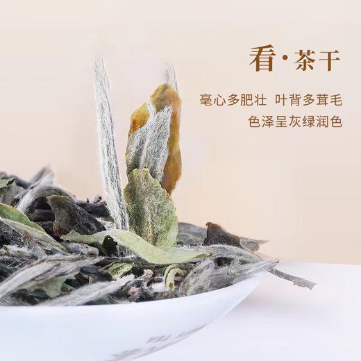 魏氏茶  魏氏陈·白牡丹(2017年份)  60g/盒 商品图1