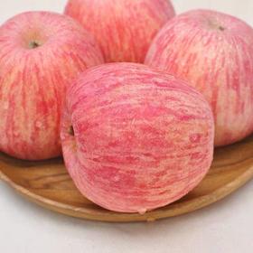 2025年新季泾川红富士苹果75-80mm带箱10.5斤包邮