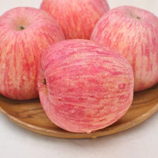 2025年新季泾川红富士苹果75-80mm带箱10.5斤包邮 商品图0