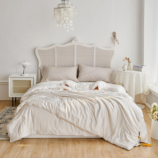 悦醒李官齐正版轻奢60支莫代尔天丝提花大豆子母被 商品图0