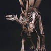 【定制】剑龙 骨架 树脂模型摆件做旧风考古教学道具（长69cm)【菊石制造】 商品缩略图0