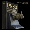 PNSO中国角龙阿齐头部肖像恐龙书档赵闯杨杨科学艺术雕像书房系列 商品缩略图1